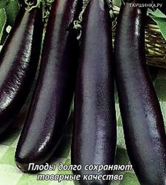 Баклажан Арап 0,25г