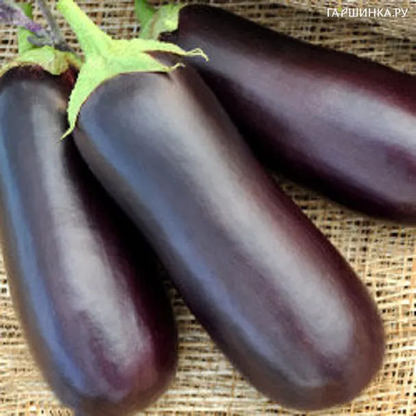 Баклажан Галич 0,25 г