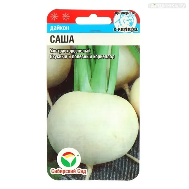 Дайкон Саша 1г