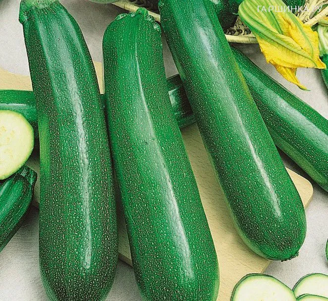 Кабачок Цукеша 12шт
