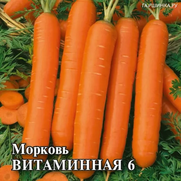 Морковь Витаминная 6