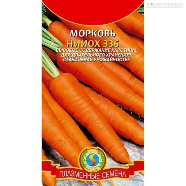 Морковь НИИОХ 336