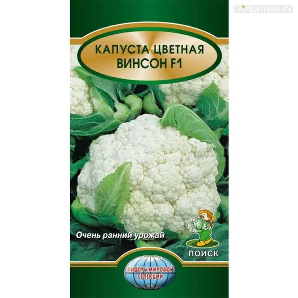 Цветная капуста Винсон 20 шт