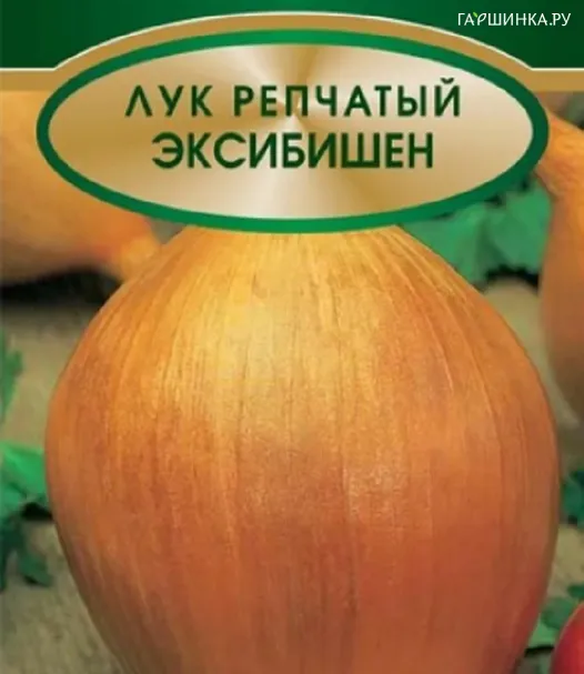 Лук репчатый Эксибишен 0,5г