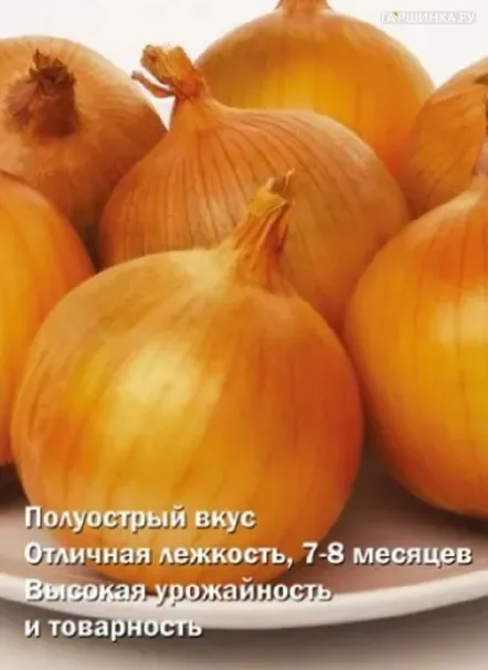Лук репчатый Форвард 1г