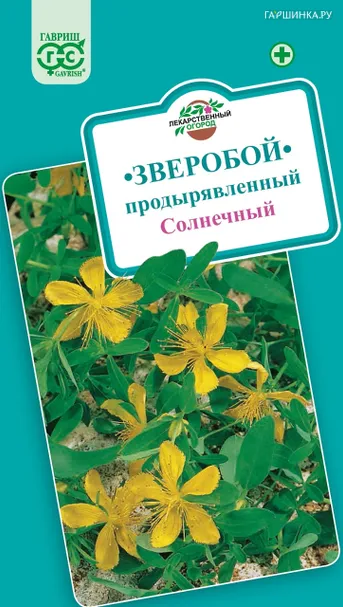 Зверобой Солнечный продырявленный 0,1 г