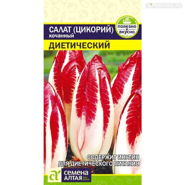 Цикорий кочанный диетический