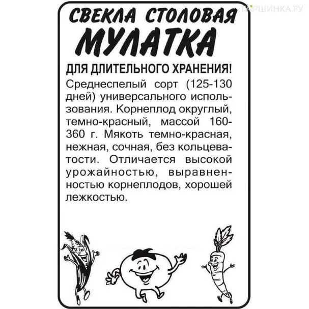 Свекла Цилиндра столовая 3гр ЦП