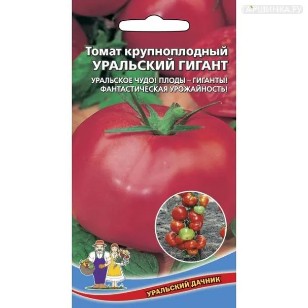 Томат Уральский Гигант ЦП 20шт.
