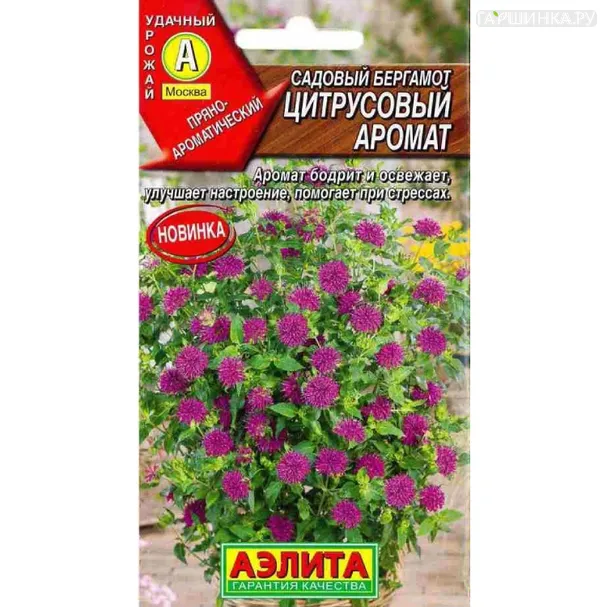 Бергамот Цитрусовый аромат 0,02 г ЦП, Семена Аэлита