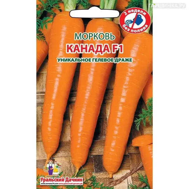 Морковь Канада  300шт.