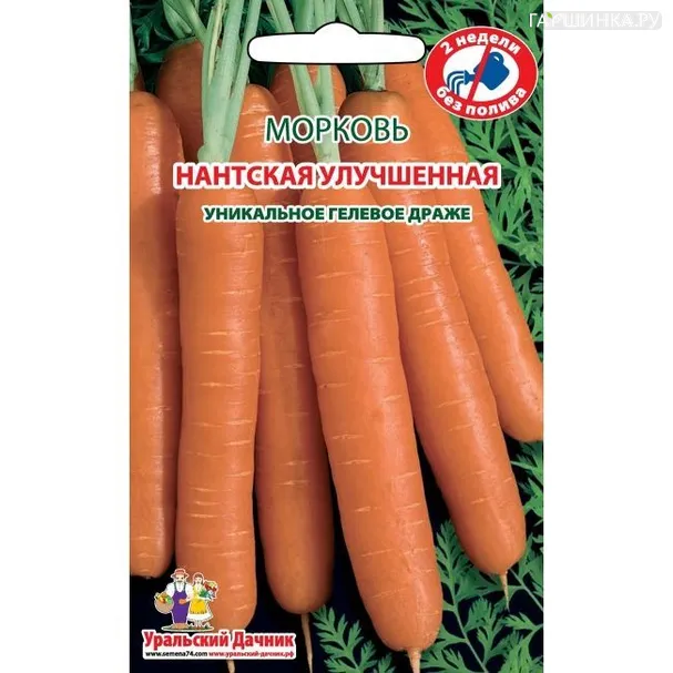 Морковь Нантская Улучшенная  300шт.