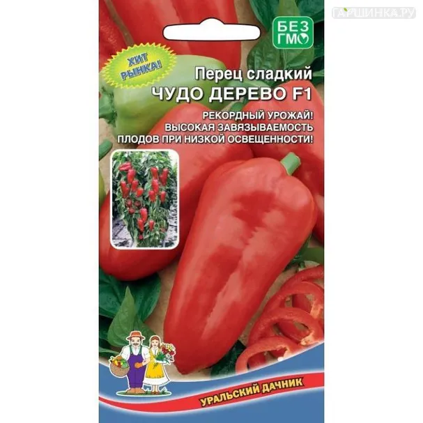 Перец Чудо дерево  ЦП 20шт.