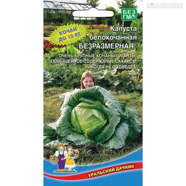 Капуста Безразмерная белокочанная 0,3гр ц/п Семена Уральский дачник