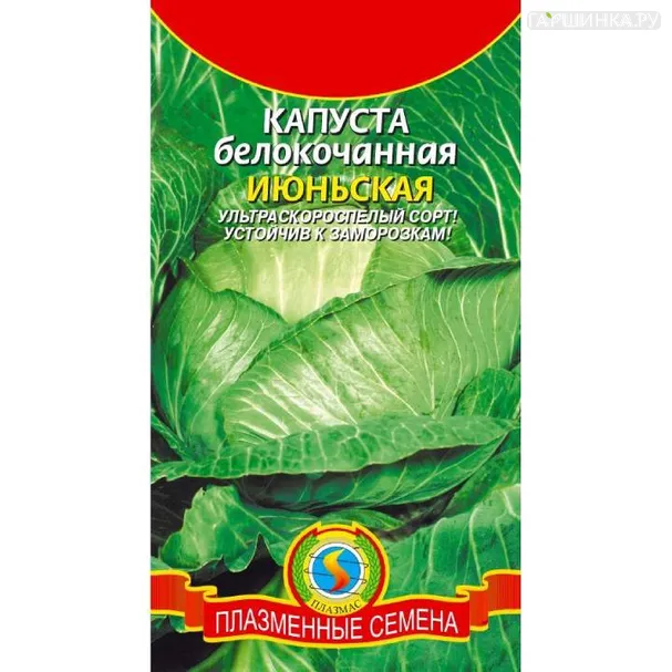 Капуста Июньская белокочанная 0,5гр ЦП Семена Аэлита