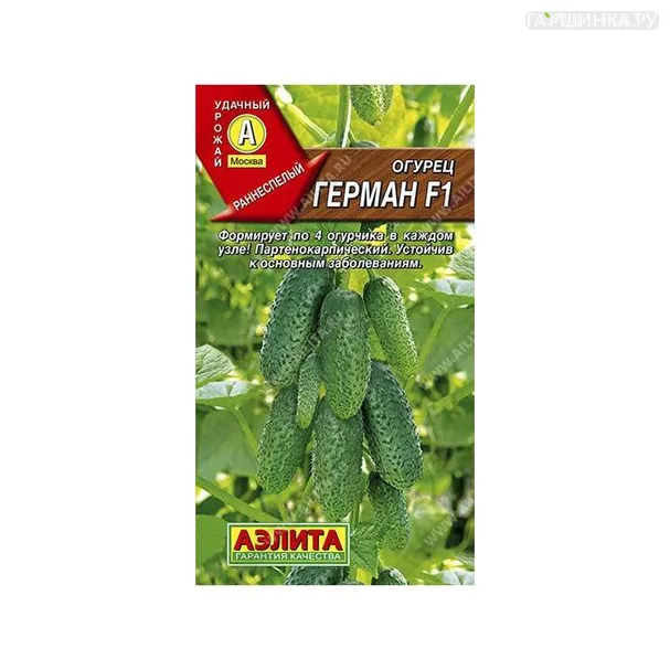 Огурец Герман 10шт ЦП