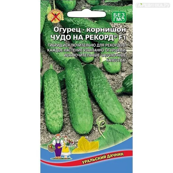 Огурец Чудо на рекорд  ЦП 6шт.