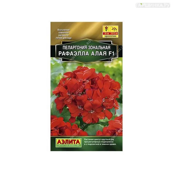 Пеларгония Рафаэлла алая 5шт ЦП