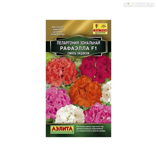 Пеларгония Рафаэлла , смесь окрасок 5шт ЦП