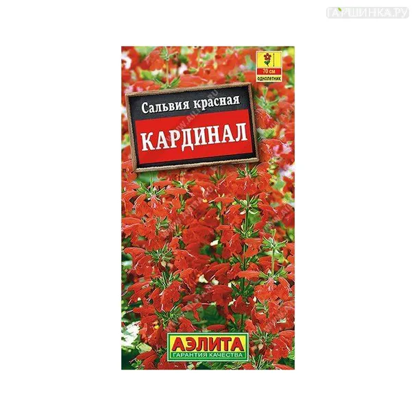 Сальвия Кардинал 0,1гр. ЦП
