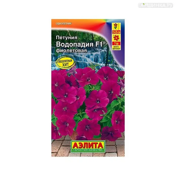 Петуния ВОДОПАДИЯ  фиолетовая 7шт ЦП