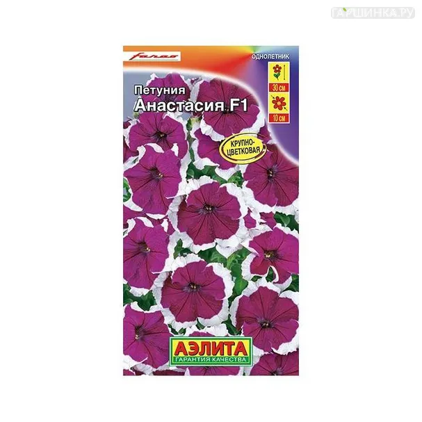 Петуния Анастасия  10шт ЦП