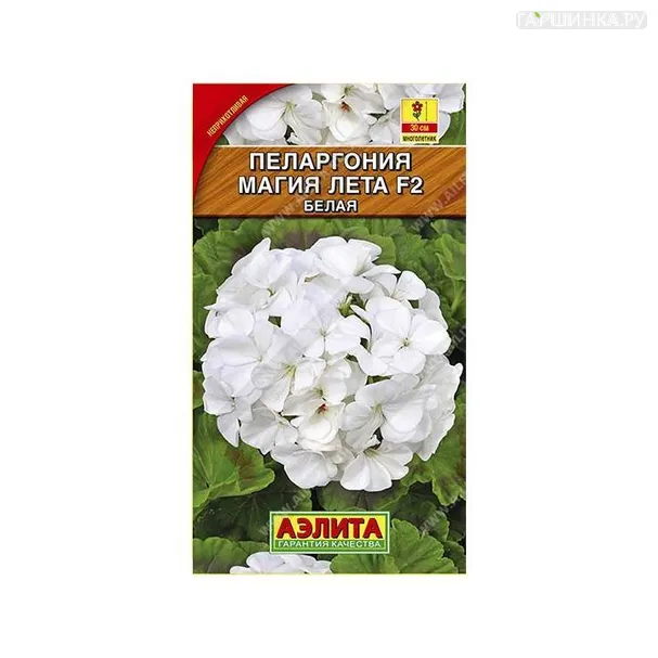 Пеларгония Магия лета белая 5шт ЦП