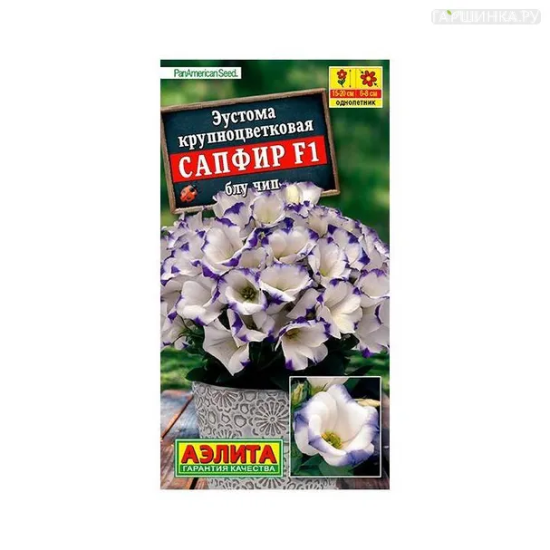 Эустома Сапфир  блу чип 5шт ЦП