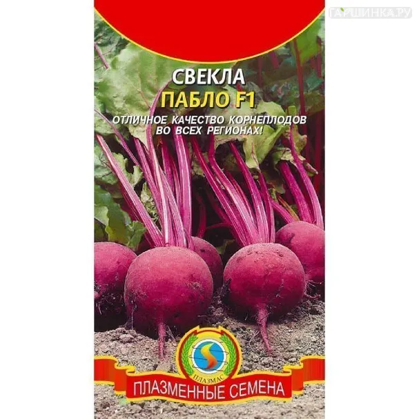 Свекла Пабло ц.п. 75 шт