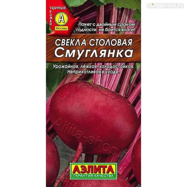 Свекла Смуглянка  3гр БП