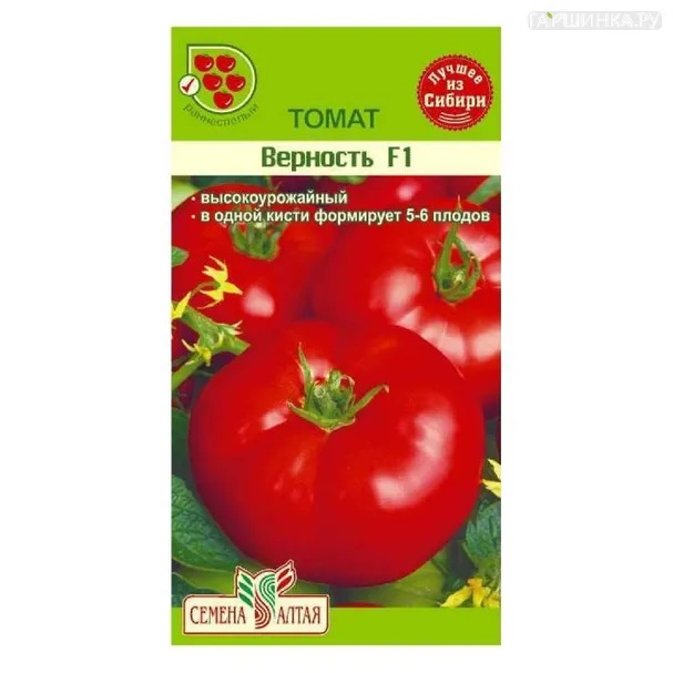 Томат Верность 15шт ЦП