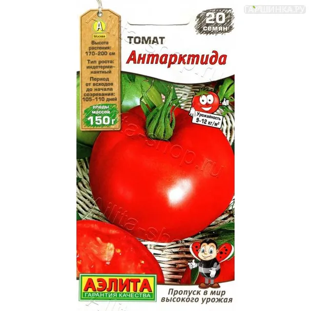Томат Антарктида 20шт ЦП