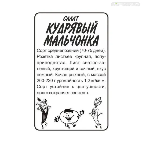 Салат Кудрявый Мальчонка 0,5гр БП
