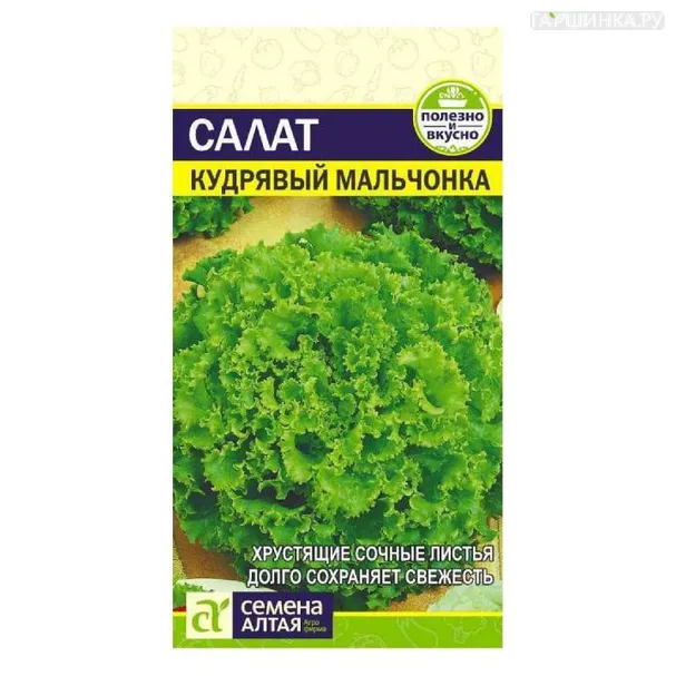 Салат Кудрявый Мальчонка 0,5гр ЦП