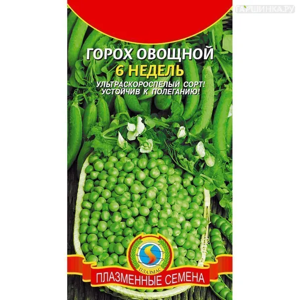 Горох 6 недель  ц.п. 8 гр