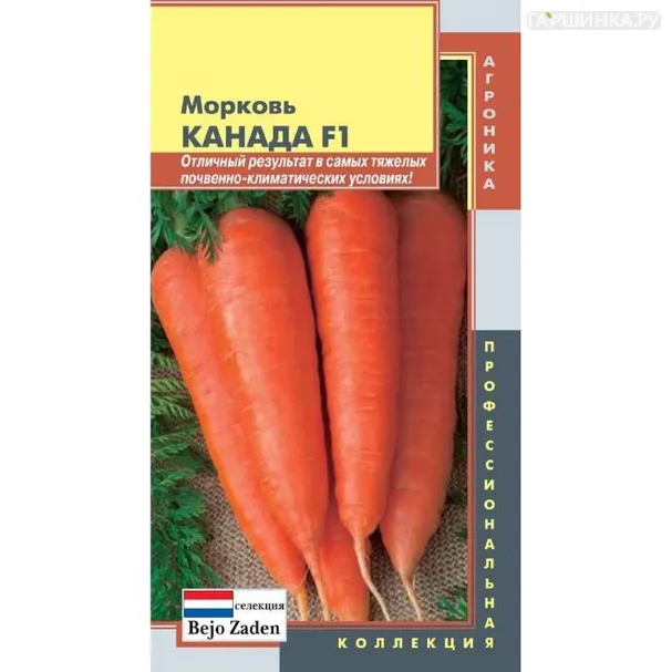 Морковь Канада ц.п. 140 шт