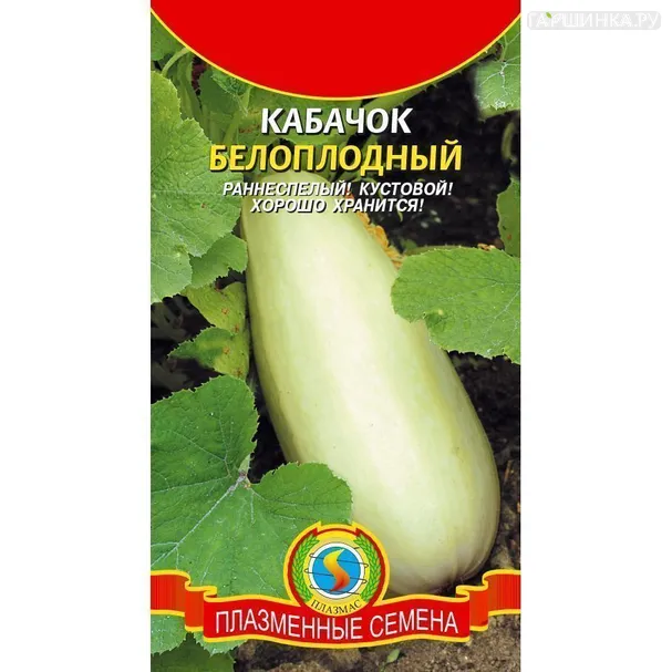 Кабачок Белоплодный ц.п. 11 шт