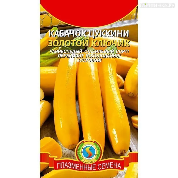 Кабачок (Цуккини) Золотой ключик ц.п. 10 шт