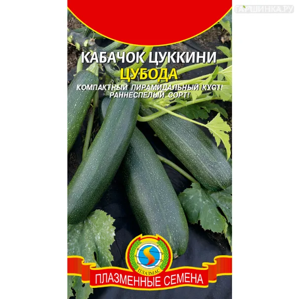 Кабачок Цубода цуккини ц.п. 10 шт