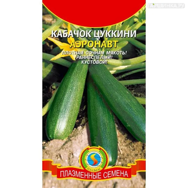 Кабачок Аэронавт ц.п.
