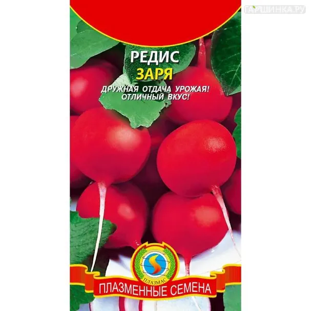 Редис Заря  ц.п. 2 гр