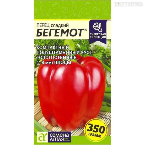 Перец Бегемот 0,1 г ЦП