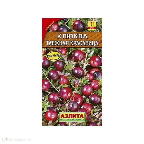 Клюква Таежная красавица ЦП