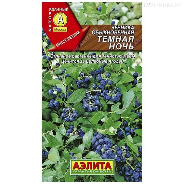 Черника Темная ночь 0,01гр ЦП