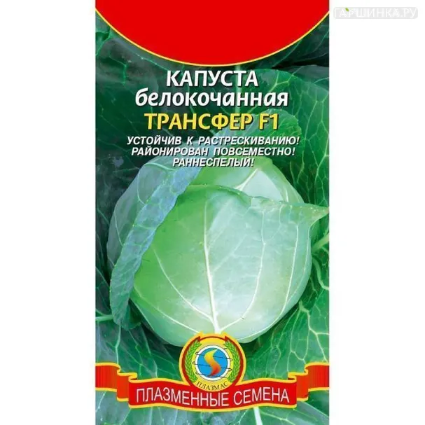 Капуста Трансфер белокочанная ц/п Семена Плазмас