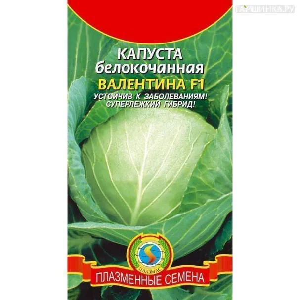 Капуста Валентина белокочанная 0,1г Семена Плазмас