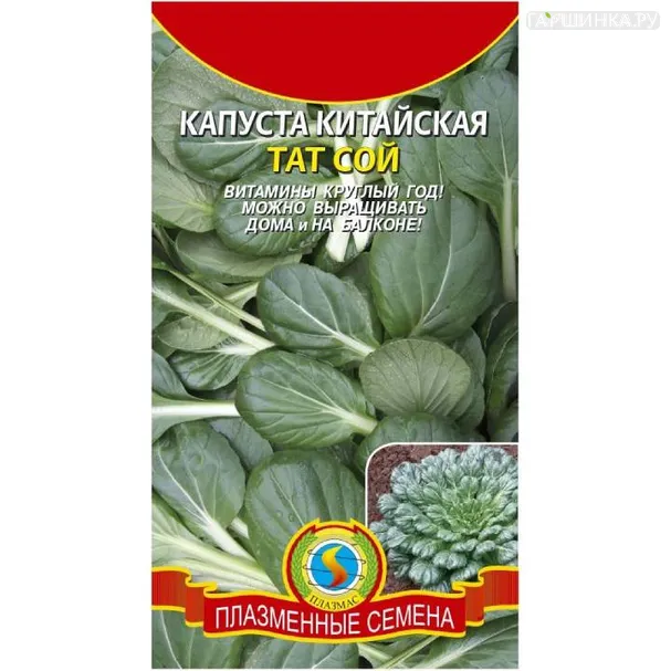 Китайская капуста Татсой ЦП, Семена Плазмас