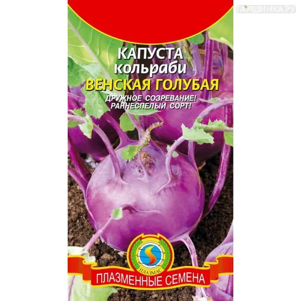 Кольраби Венская голубая ЦП, Семена Плазмас