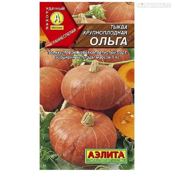 Тыква Ольга 2 гр ЦП