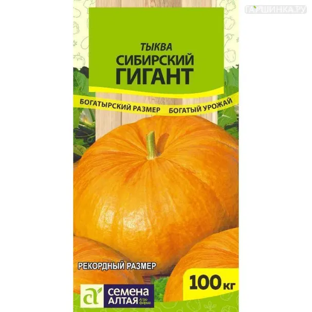 Тыква Сибирский Гигант ЦП 2 г, Семена Алтая